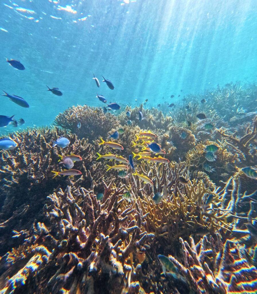 10 Things to Do in Kadavu for Yachties