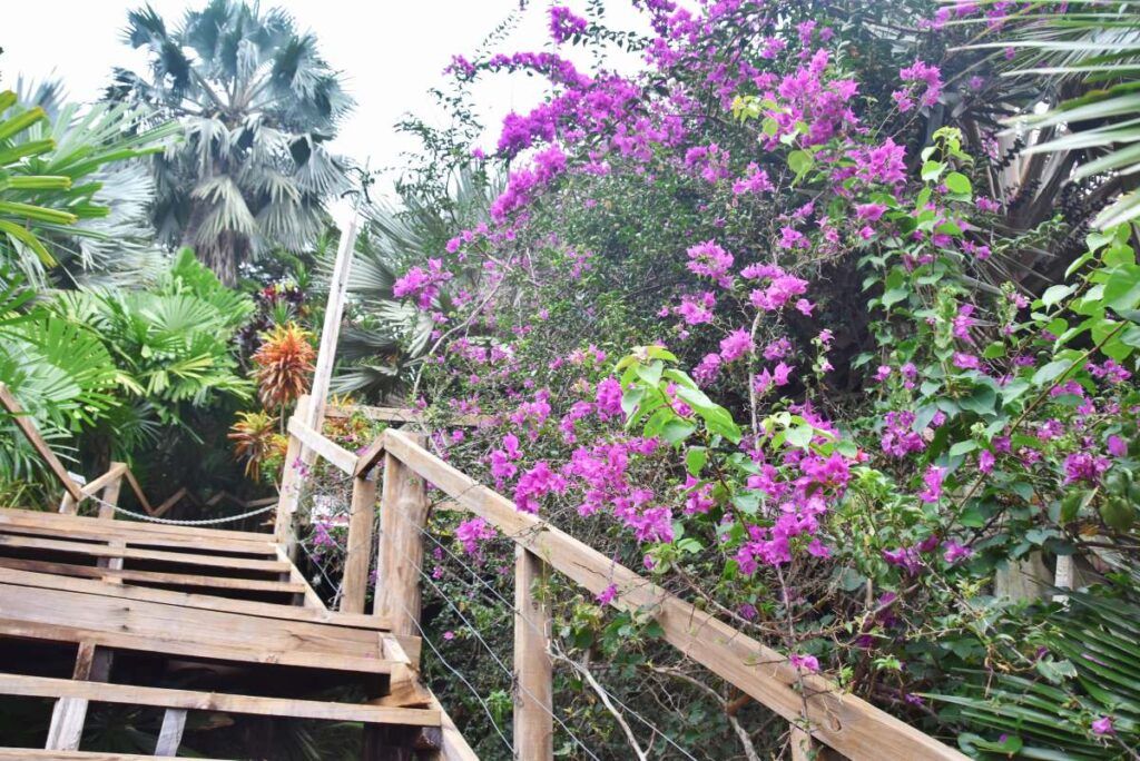 10 Things to Do in Savusavu & Vanua Levu for Yachties