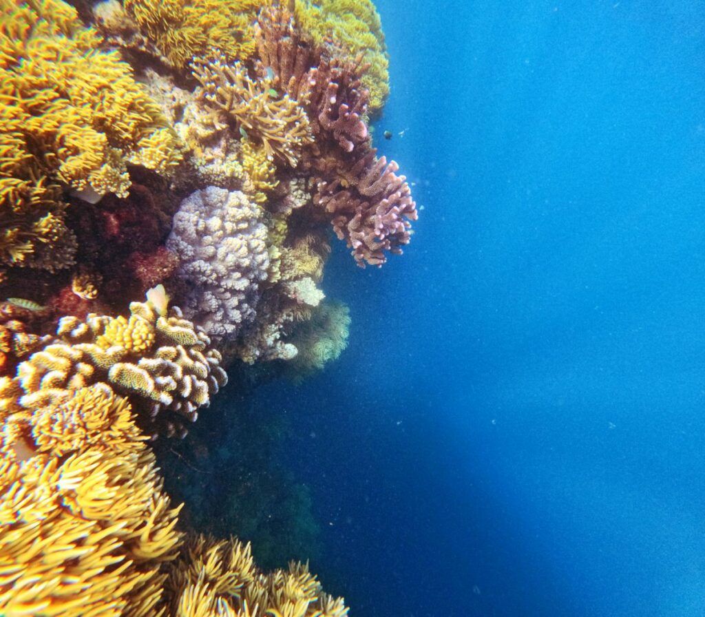 10 Things to Do in Taveuni for Yachties