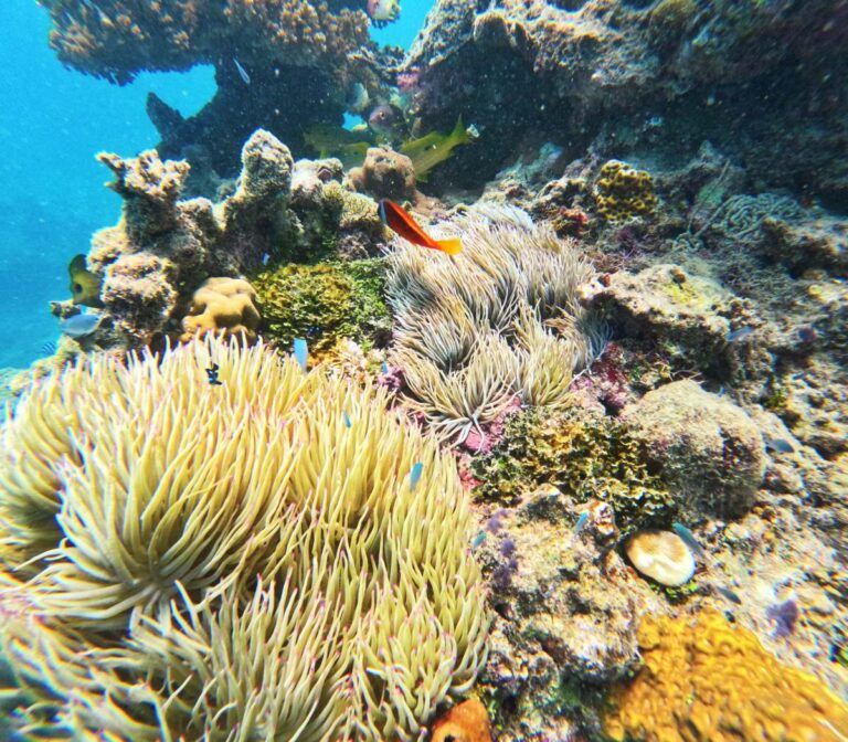 10 Things to Do in the Mamanuca Islands for Yachties