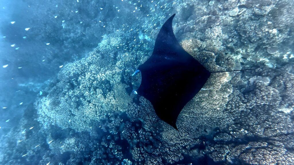 10 Things to Do in the Yasawa Islands for Yachties