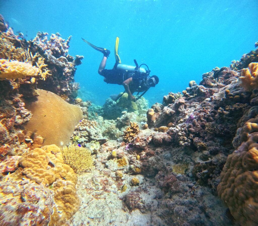 10 Things to Do in Savusavu & Vanua Levu for Yachties