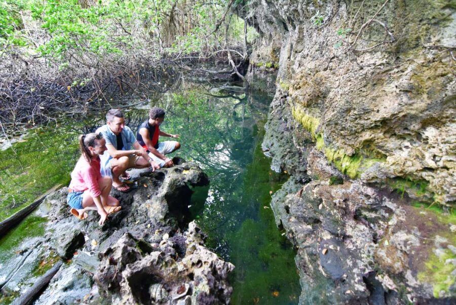 10 Things to Do in Savusavu & Vanua Levu for Yachties