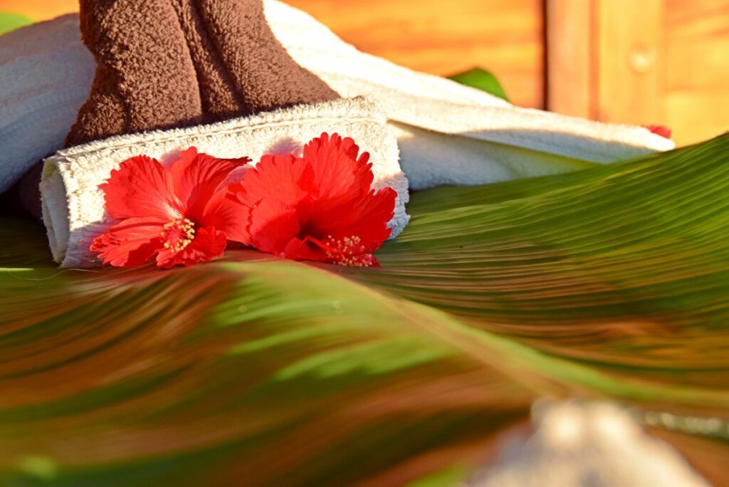 10 Things to Do in Kadavu for Yachties