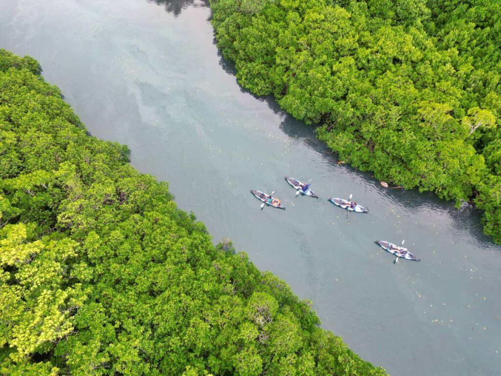 10 Things to Do in Savusavu & Vanua Levu for Yachties