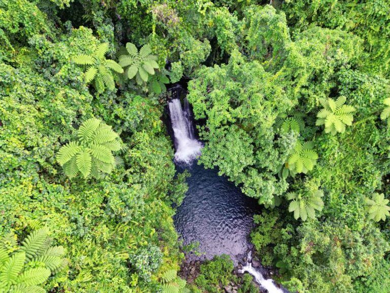 10  Things to Do in Taveuni for Yachties