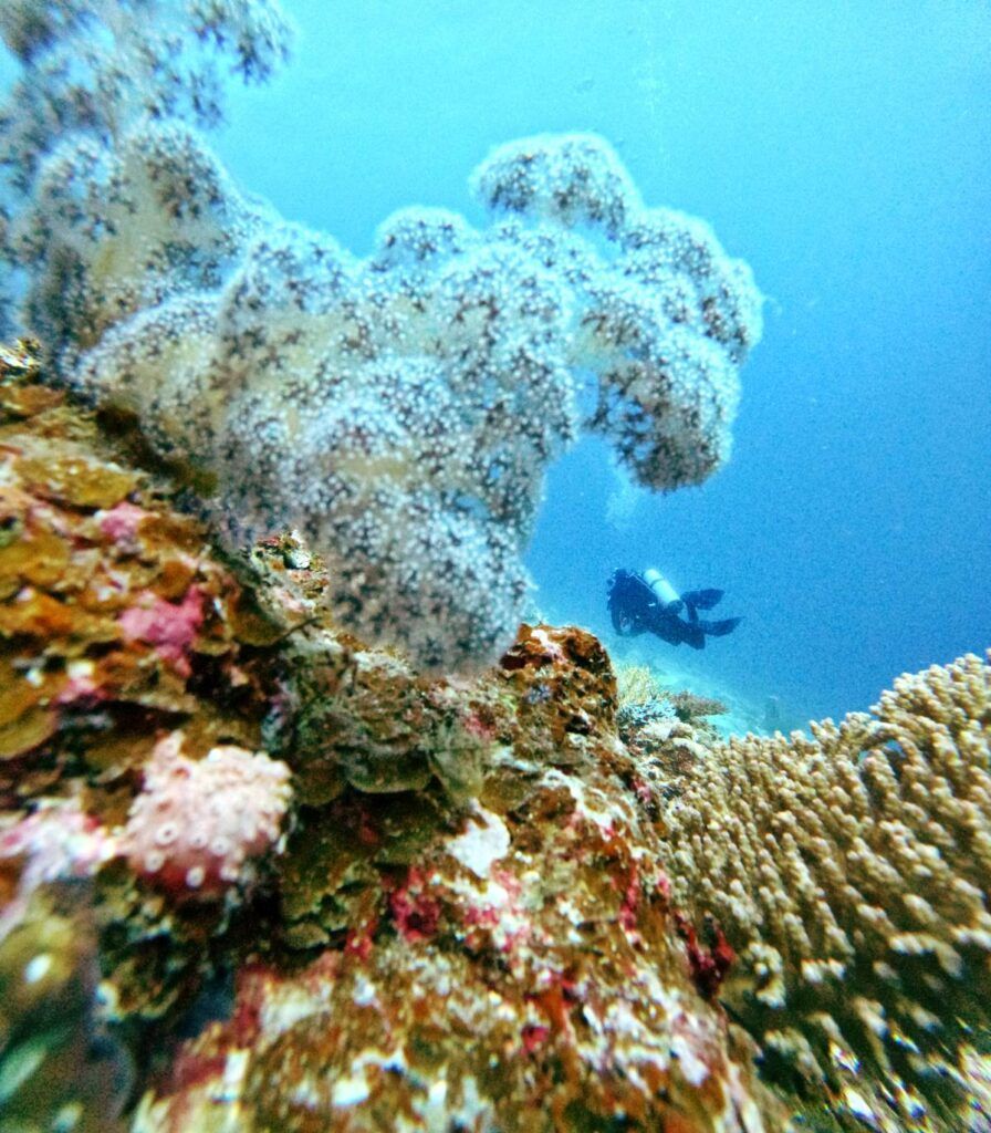 10 Things to Do in the Lau Islands for Yachties
